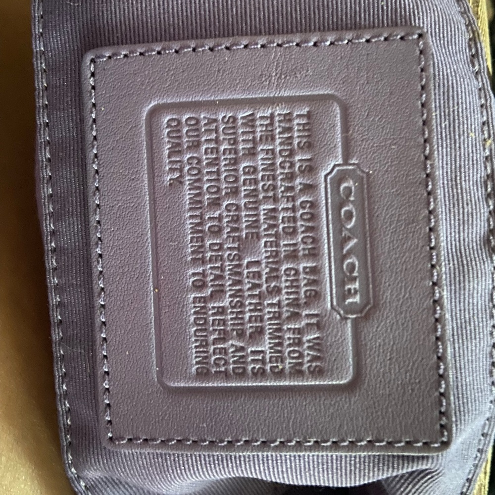 Coach Taupe Leather Bag